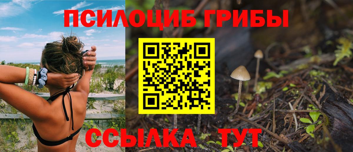 Псилоцибиновые грибы ЛСД Кохма